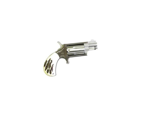 North American Arms Mini Rev NAA22MSGSTG 744253001598