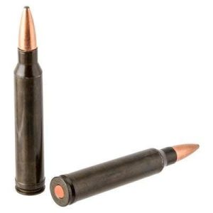 Traditions Rifle Training Cartridge 300 Winchester Mag 2 Rounds