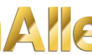 Allen Larkspur Bow Case 40"