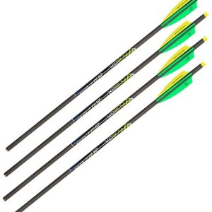 Allen XD300 20" Bolt Pack of 3