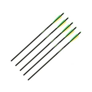 Barnett Outdoors 16079 22IN Arrows with FP/Mn 5pk