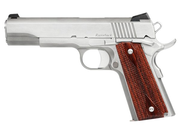 Dan Wesson RZ-10 Razorback 10mm 5" Stainless Pistol