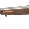 RUGER HAWKEYE HUNTER - Image 2