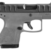 BERETTA USA APX Carry - Image 2