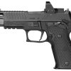 SIG SAUER P226 ZEV - Image 2