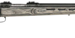 Savage Arms 110