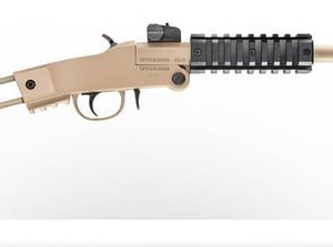 CHIAPPA FIREARMS LITTLE BADGER